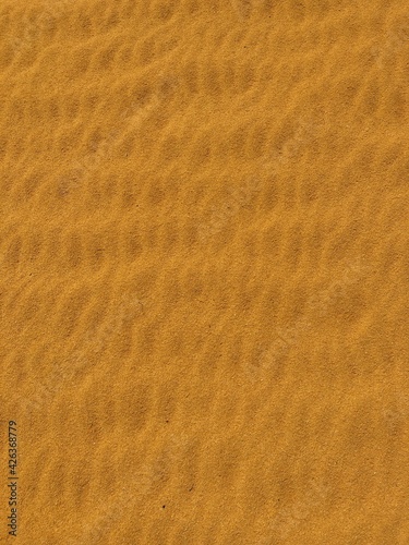 ウエストオーストラリアの旅 ピナクルズの砂漠 岩と砂 