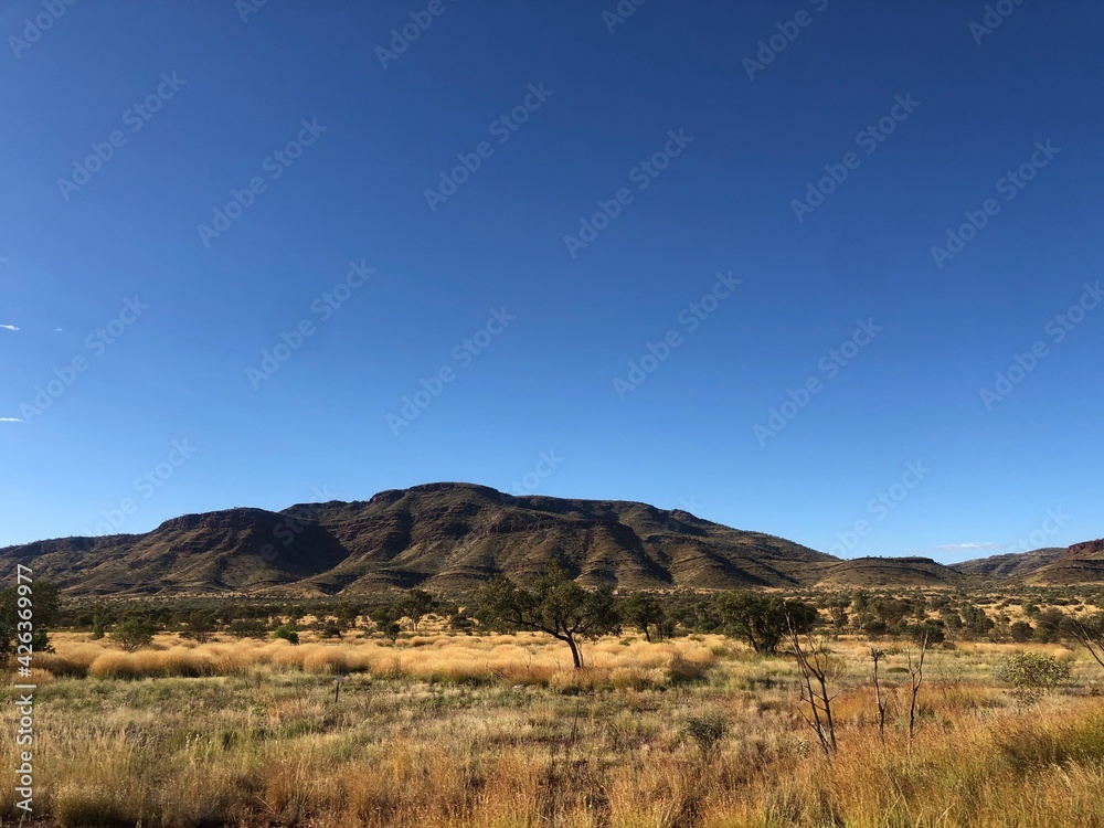 ウエストオーストラリアの壮大な山と大地の風景
