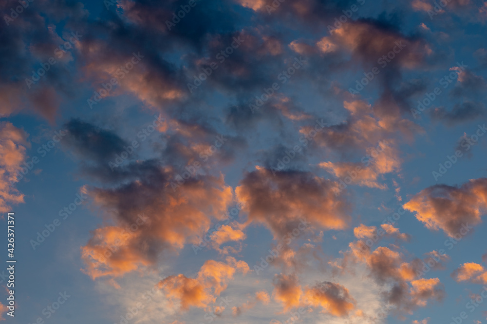 Exotic sunrise cloudscape sky with pink black and white coloured cumulus cloud formation in a pastel blue sky. Sunset or sunrise background image Exotic sunrise cloudscape sky with pink black and white coloured cumulus cloud formation in a pastel blue sky. Sunset or sunrise background image