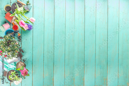 Fototapeta Naklejka Na Ścianę i Meble -  Spring Gardening concept