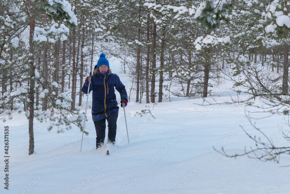 Senior woman cross country telemark skiing in snowy forest. Elderly retired baby boomer senior woman during outdoor physical activities in woodland at snowy winter day. Active lifestyle in senior age Senior woman cross country telemark skiing in snowy forest. Elderly retired baby boomer senior woman during outdoor physical activities in woodland at snowy winter day. Active lifestyle in senior age