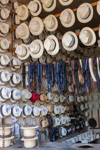 Panama Hats for sale - Ecuador - South America
