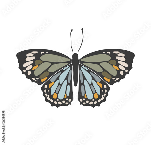 Abstract spring colorful butterfly, boho butterfly vector, isolated spring insect, nature elements, beautiful multicolour drawing buterfly, vector illustration