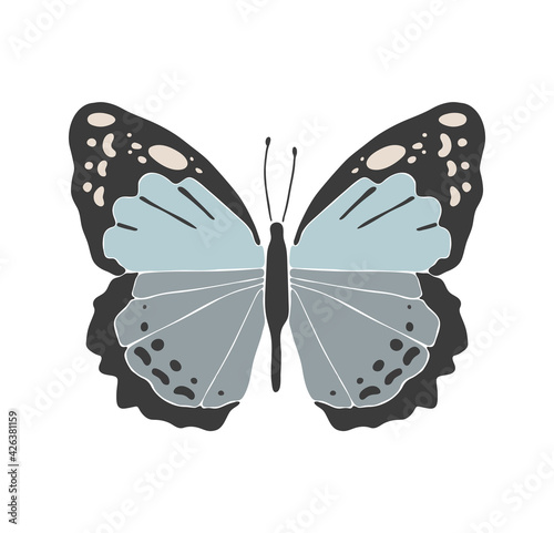 Abstract spring colorful butterfly, boho butterfly vector, isolated spring insect, nature elements, beautiful multicolour drawing buterfly, vector illustration