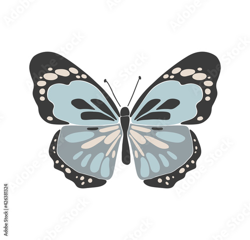Abstract spring colorful butterfly, boho butterfly vector, isolated spring insect, nature elements, beautiful multicolour drawing buterfly, vector illustration