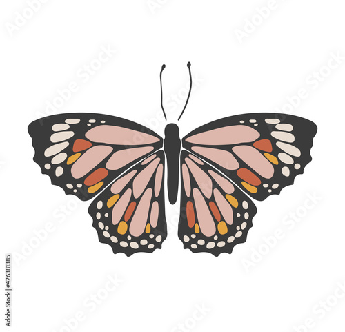 Abstract spring colorful butterfly, boho butterfly vector, isolated spring insect, nature elements, beautiful multicolour drawing buterfly, vector illustration