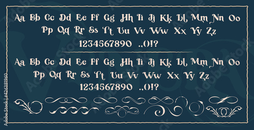 Set of decorative typefaces. Perfect for the brand, of invitations, postcards, printing logos, shops, and many other uses. Vector