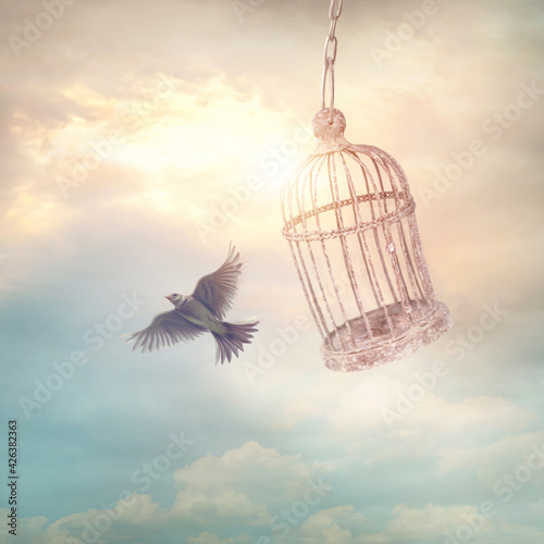 Bird escaping from the cage.
