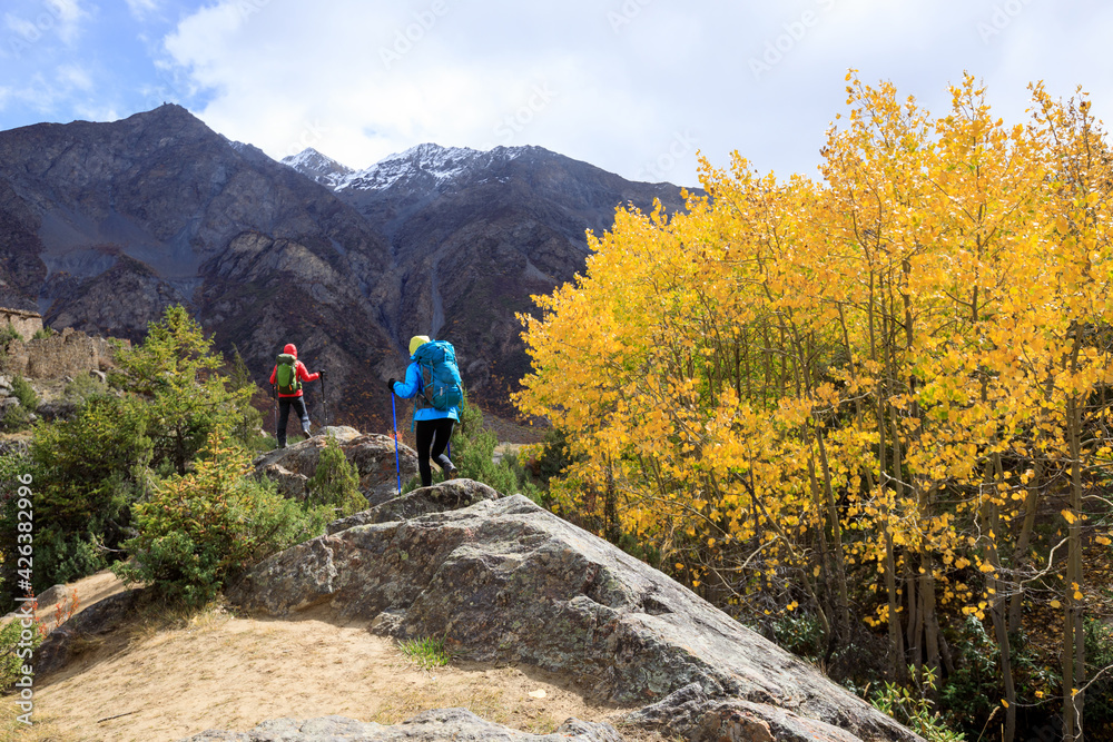 Two backpackers hiking  in high altitude winter mountains