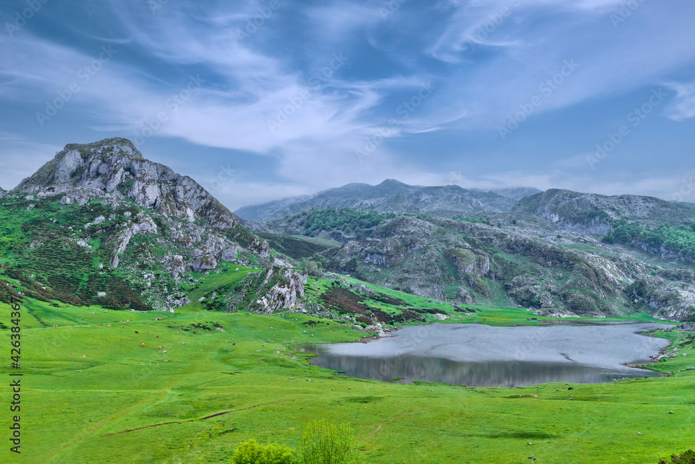 Lake Ercina is a small mountain lake in northern Spain, Lagos de Covadonga, in the Principality of Asturias, within the Picos de Europa National Park.