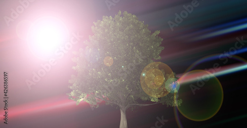 abstract illusttraion  tree and moon isolated whit speed light color motion blur.