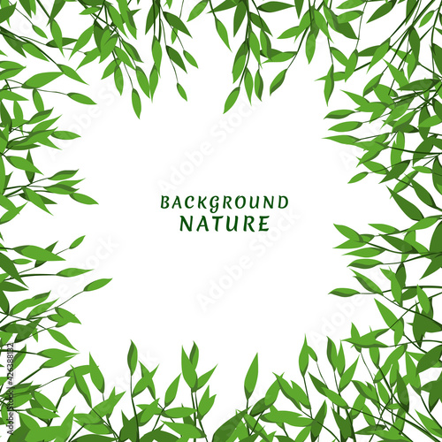 Background nature tropical  background illustration for a nature design theme