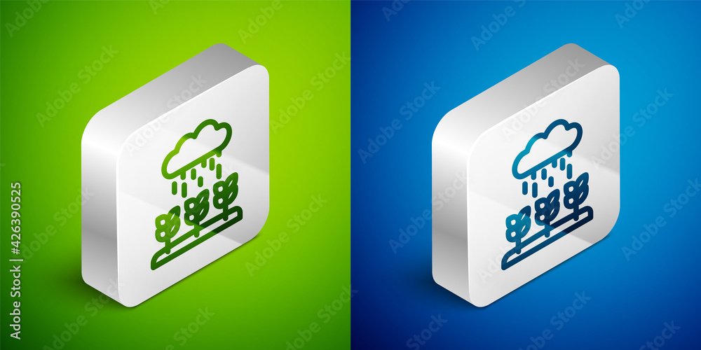 Isometric line Plant sprouts grow in the rain icon isolated on green and blue background. Seedling concept. Silver square button. Vector Isometric line Plant sprouts grow in the rain icon isolated on green and blue background. Seedling concept. Silver square button. Vector