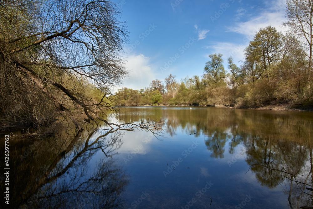 Unspoiled nature and trees reflecting in the water in the Rheinauen wetlands on a summer day with blue sky near Plittersdorf, Rastatt, Germany.