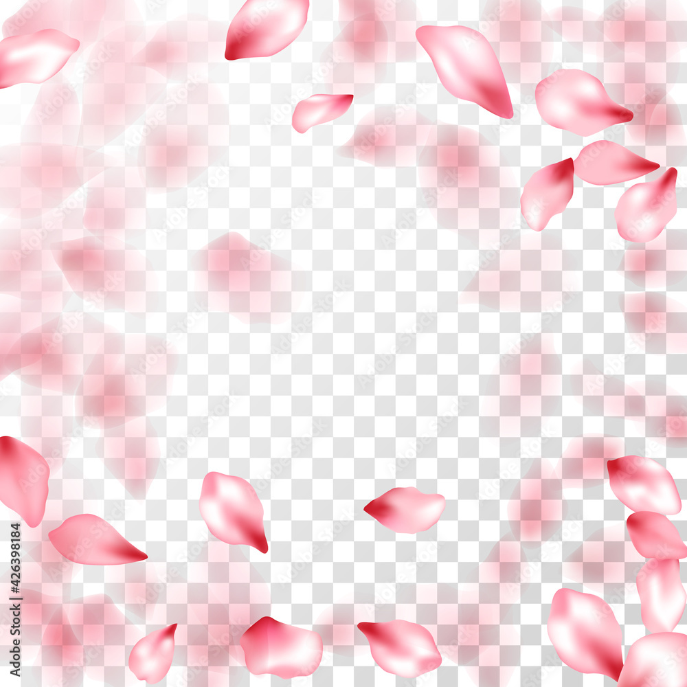 Pink sakura petals falling vector graphics. Pink sakura petals falling vector graphics.