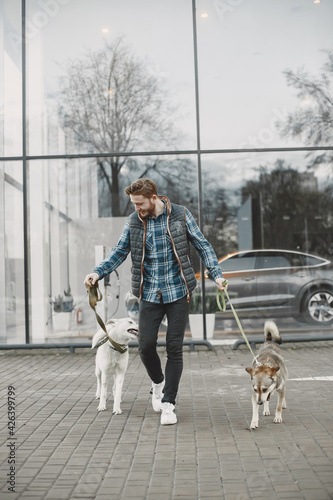 Man with a dogs in a city