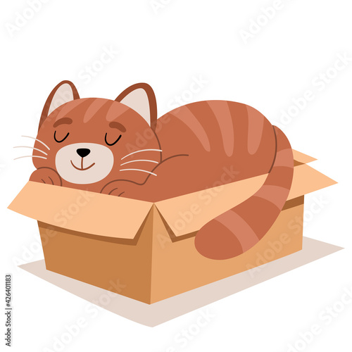 A cute ginger cat fell asleep in a box.Modern vector illustration in flat cartoon style.Illustration for childrens book.