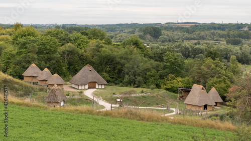 Cuadro en lienzo village gaulois