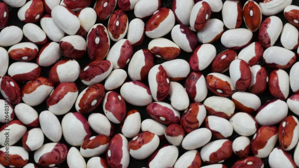 Pile of red-white beans,Heap of half red half white dry beans revolving, healthy food, source of protein, painted pony, summer crop, complex carbohydrates. Close up, rotation, 4K Ultra HD.