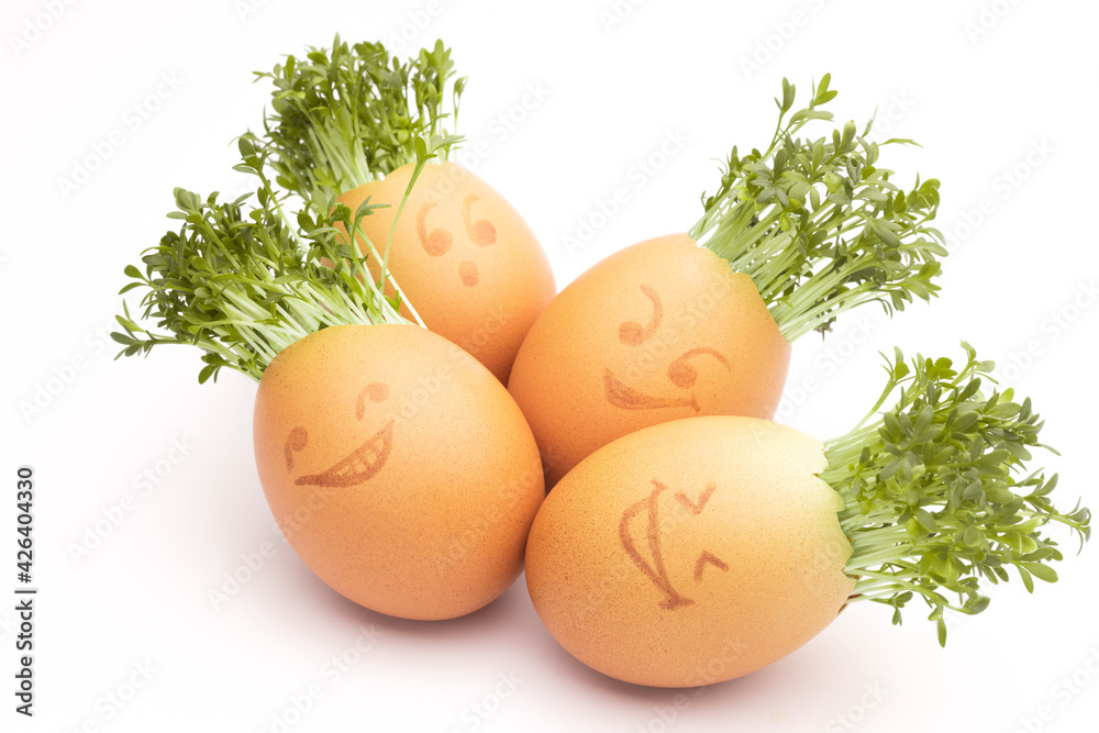easter eggs, fresh sprouts in an egg shell, sprout heads, watercress hair, Growing Cress in Egg Shells, eggheads, egg shells with faces drawn on, Eggheads With Cress Hair, Fresh cress in an egg shell easter eggs, fresh sprouts in an egg shell, sprout heads, watercress hair, Growing Cress in Egg Shells, eggheads, egg shells with faces drawn on, Eggheads With Cress Hair, Fresh cress in an egg shell