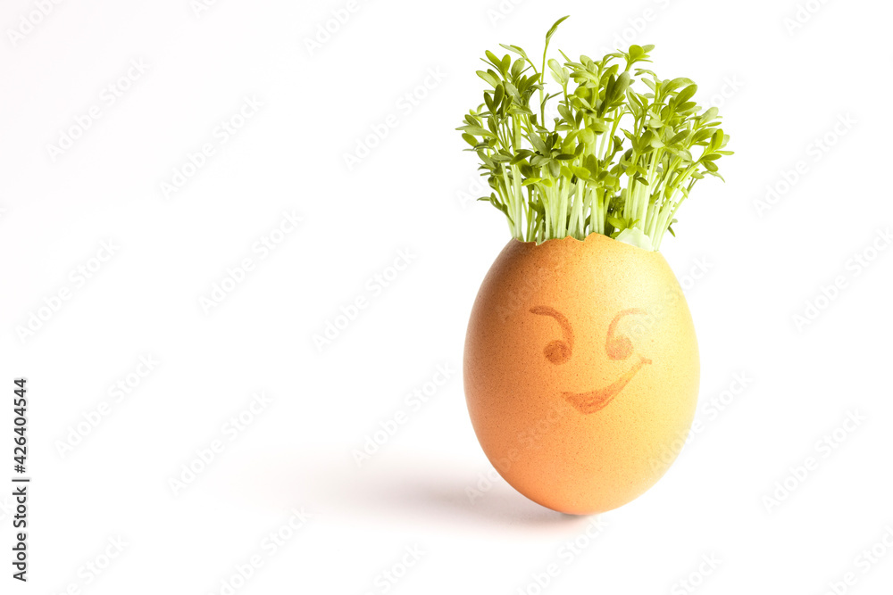 fresh sprouts in an egg shell, sprout heads, watercress hair, Growing Cress in Egg Shells, eggheads, egg shells with faces drawn on, Eggheads With Cress Hair, Fresh cress in an egg shell fresh sprouts in an egg shell, sprout heads, watercress hair, Growing Cress in Egg Shells, eggheads, egg shells with faces drawn on, Eggheads With Cress Hair, Fresh cress in an egg shell