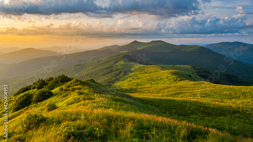 Beautiful summer mountain landscape. Green meadow and the blue sky. Polonina Wetlinska  Bieszczady  Carpathians  Poland.