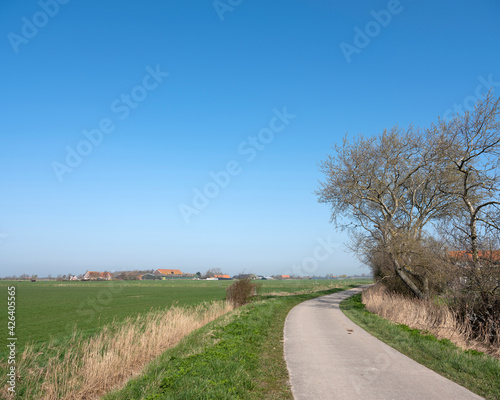 country road and farms on countryside of walcheren near middelburg in dutch province of zeeland