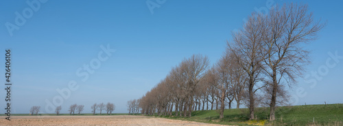 rural countryside of noord beveland in dutch province zeeland on sunny spring day photo