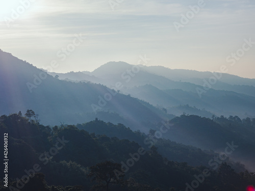 beautiful landscape nature of rain forest and mountain. abundance evergreen forest and foggy. tropical forest of thailand. © TongTa