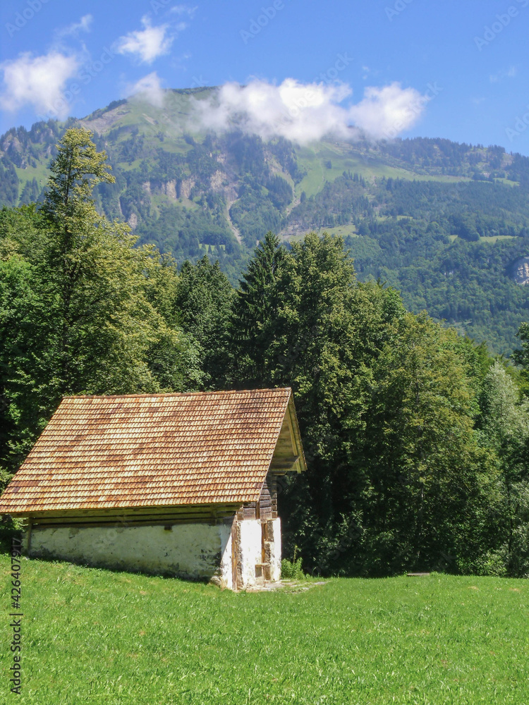 stone cabin in switzerland landscape with forest and mountain in background