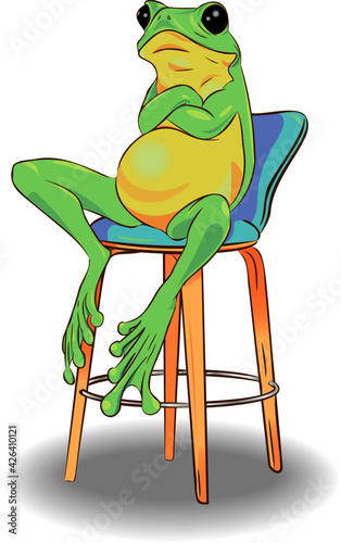 Quadro em tela frog sitting on a chair