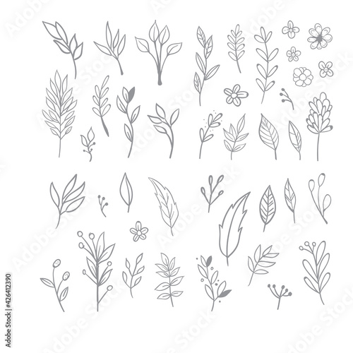 Flowers and leaves doodle collection. Hand drawn floral ornaments. Decorative plants illustrations.