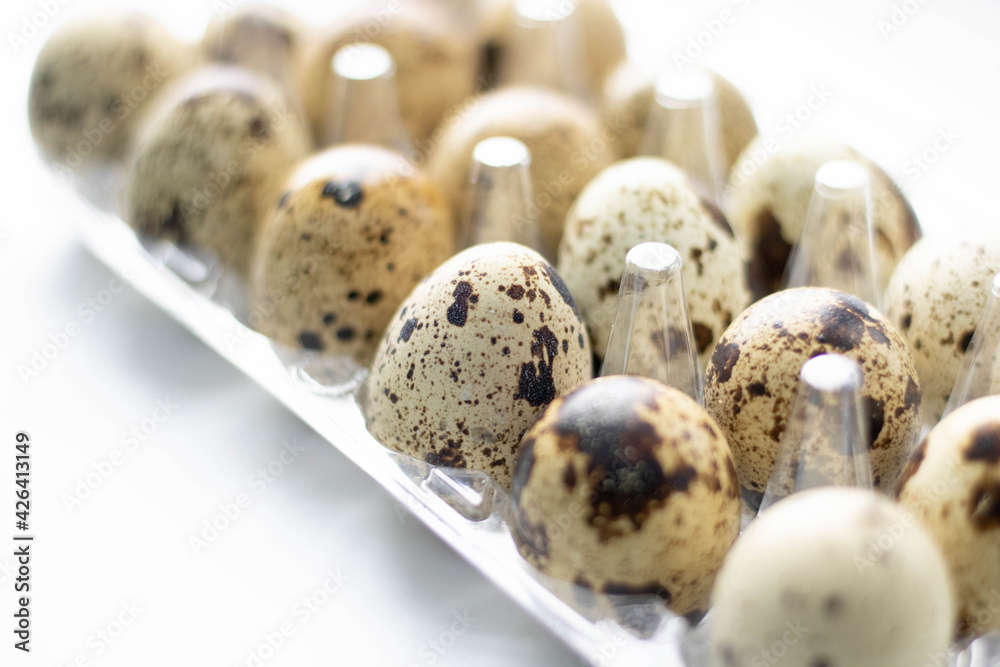 quail eggs on a white background quail eggs on a white background