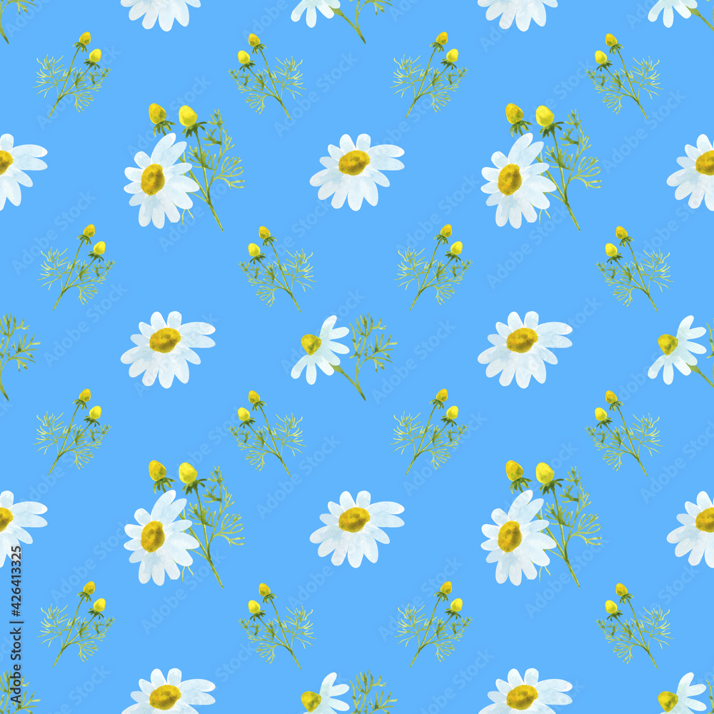 Obraz premium Pattern with daisies
