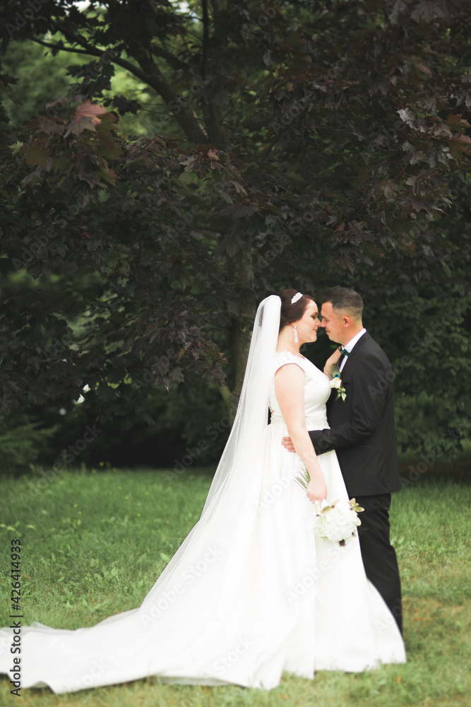 Wedding couple bride and groom holding hands Wedding couple bride and groom holding hands