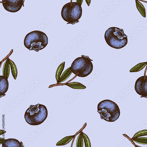 Seamless pattern with hand drawn colored blueberry