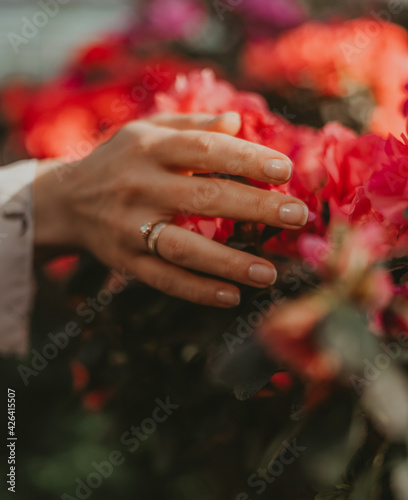 wedding rings on hands in a roses garden