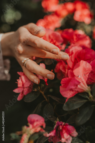 hands of the bride in flowers © Ольга Жушман