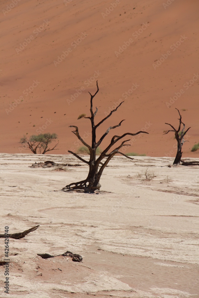 dead vlei in sossusvlei in namibia dead vlei in sossusvlei in namibia