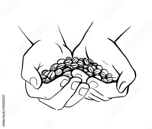 Man holding coffee grains in his palms. Roasting and preparation theme. Sketch style