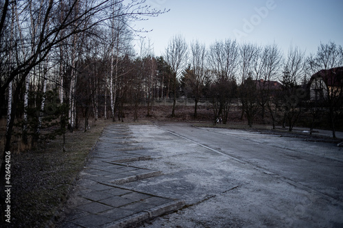 Dark suburb street