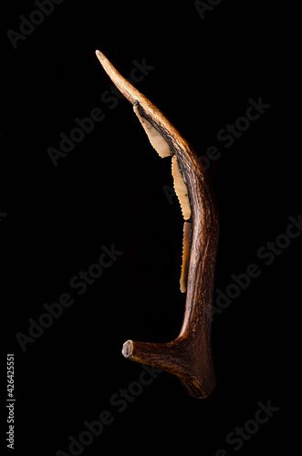 Set of prehistoric mountain ranges. from the stone age. placed on an animal horn for better grip. from the Paleolithic period and Acheulean culture. black background photo