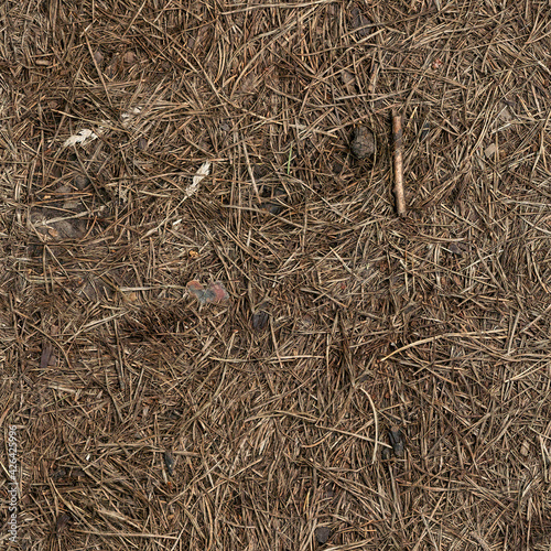 Seamless forest dry needles ground texture