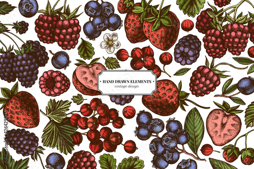 Colored elements design with strawberry, blueberry, red currant, raspberry, blackberry