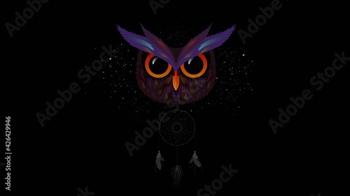 Background image colorful Owl dream Catcher