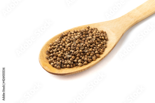 Closeup of coriander seeds on a wooden spoon isolated over white background