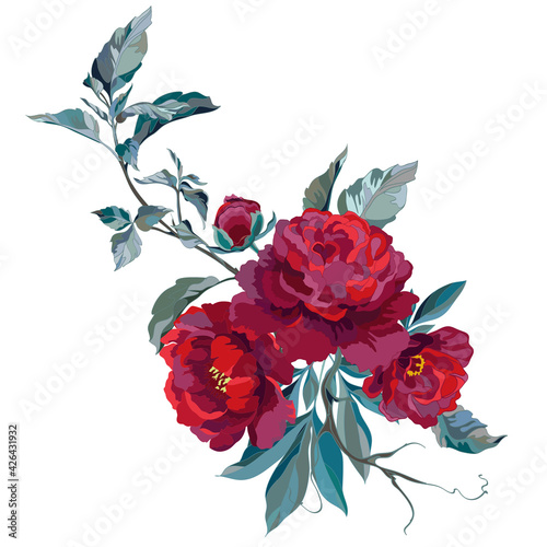dark red peonies