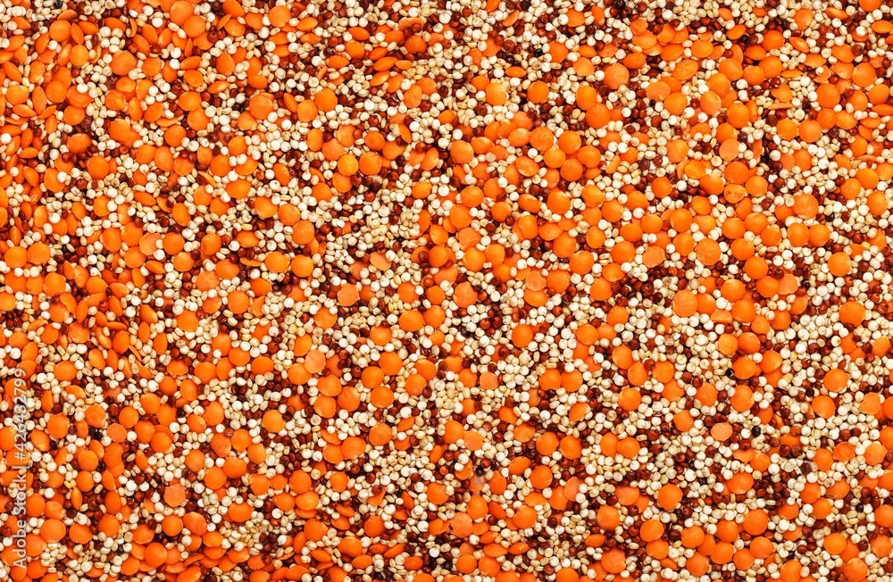 Mix of raw organic cereals. Lentils and quinoa (white and red). Delicious and healthy diet . Protein food concept. Vegan and Vegetarian. Top view, copy space, culinary background Mix of raw organic cereals. Lentils and quinoa (white and red). Delicious and healthy diet . Protein food concept. Vegan and Vegetarian. Top view, copy space, culinary background