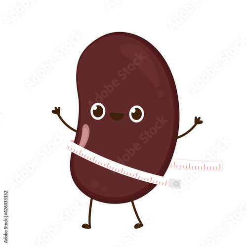 Kidney bean character. Kidney bean on white background. photo