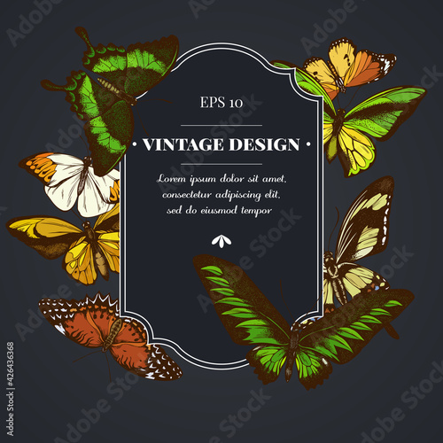 Dark badge design with great orange-tip, emerald swallowtail, jungle queens, plain tiger, rajah brooke s birdwing, papilio torquatus, swallowtail butterfly
